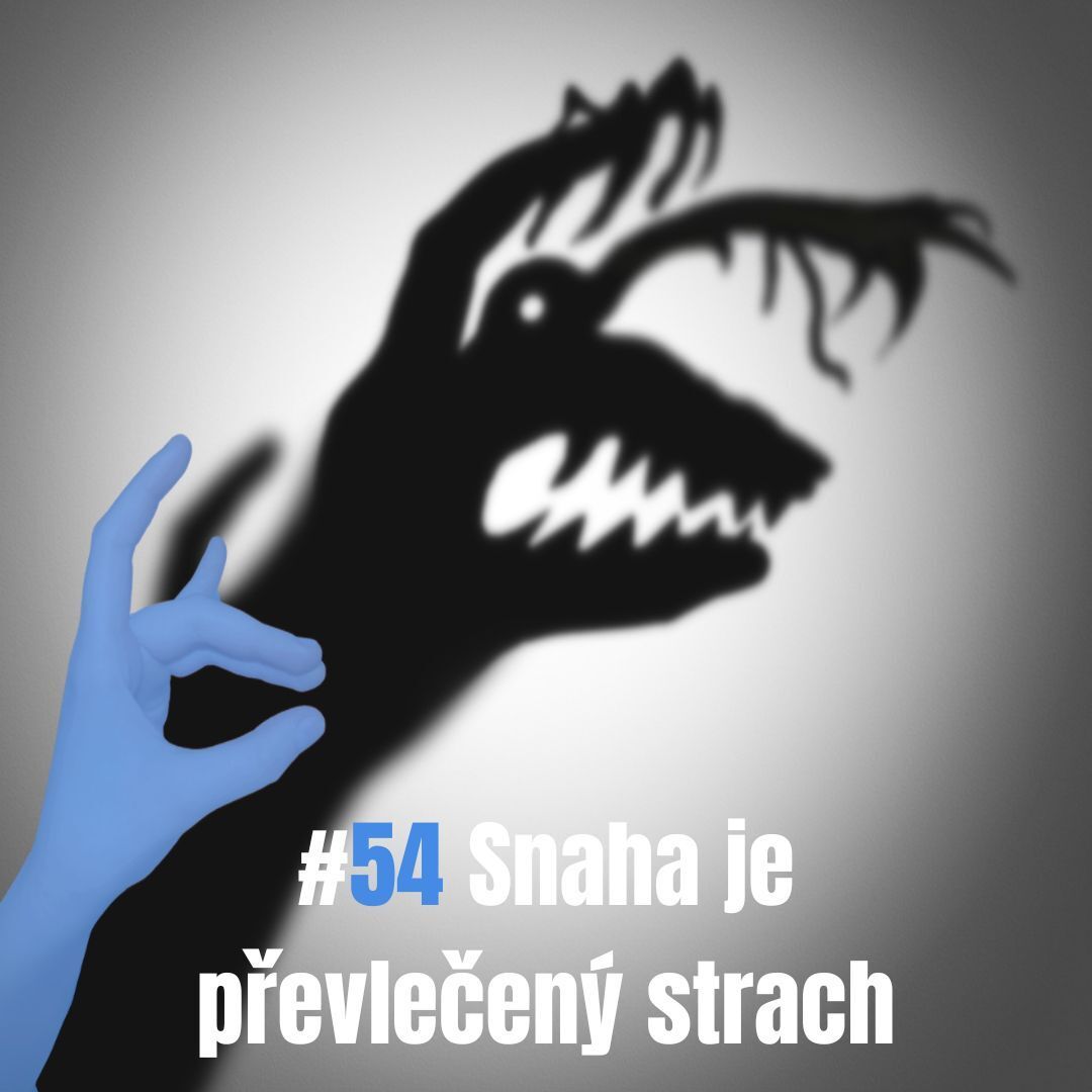 54: Jak na strach ze snahy