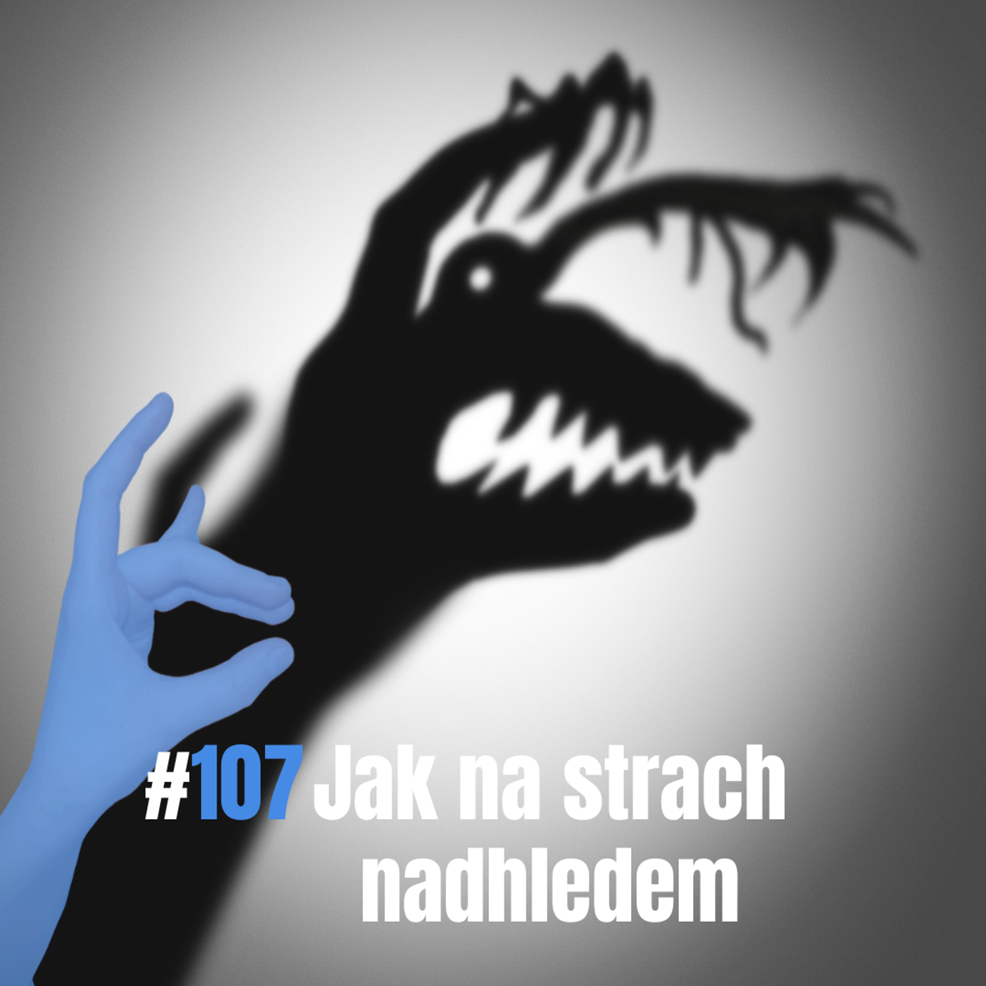 107: Jak na strach nadhledem