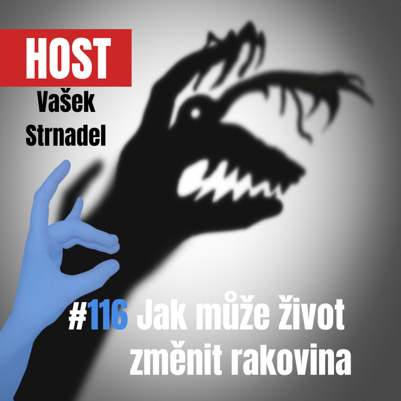 116: Jak může změnit život rakovina